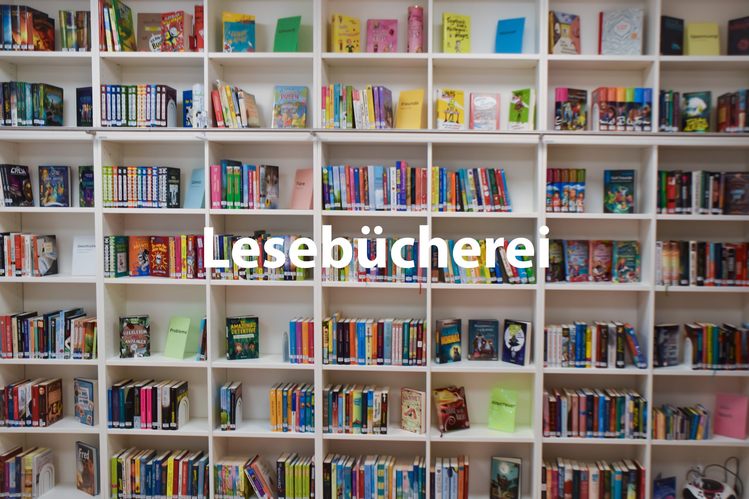 Es ist so weit! Lesezeit!